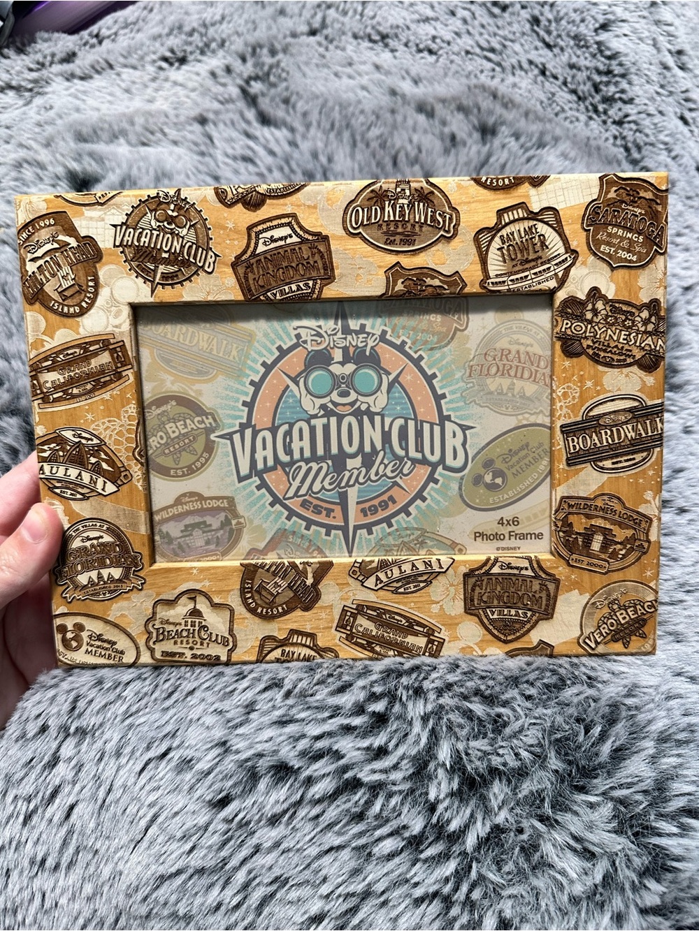 Disney DVC Tan Brown Wood-Look Vacation Club Photo Frame